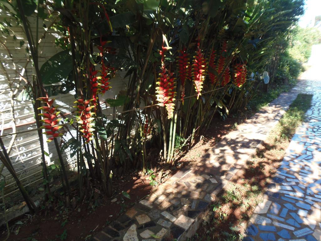 Meliza'S Garden Hotel Foz do Iguacu Ngoại thất bức ảnh